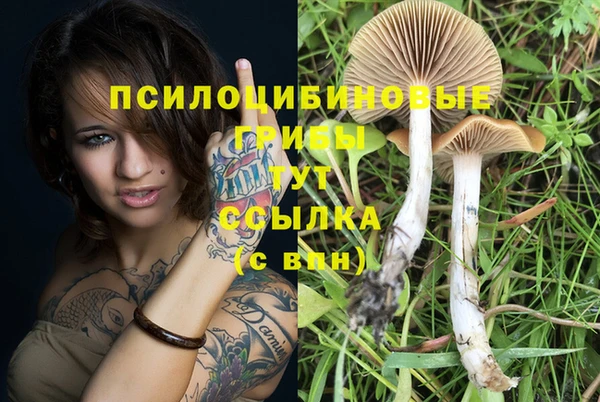 спайс Слюдянка