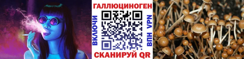 Галлюциногенные грибы мухоморы  Южно-Сухокумск 